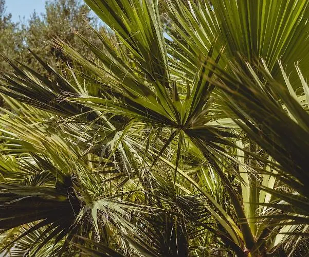 Iphigenia Mythic Retreat * Hersonissos (Crete)