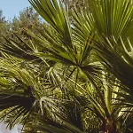 Iphigenia Mythic Retreat * Hersonissos (Crete)