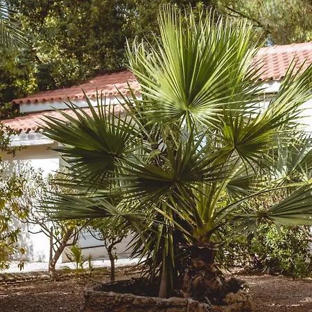 Iphigenia Mythic Retreat * 赫索尼索斯