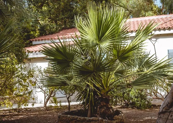 Iphigenia Mythic Retreat * Herszonisszosz